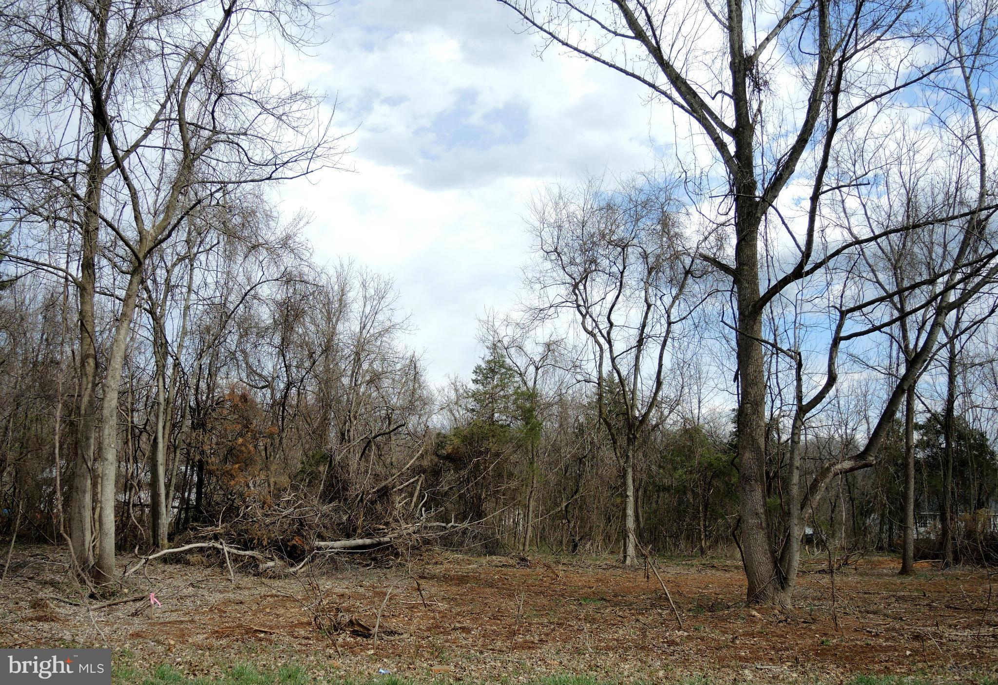 0 Green Road Midland, VA 22728 - Photo 3 of 11 View