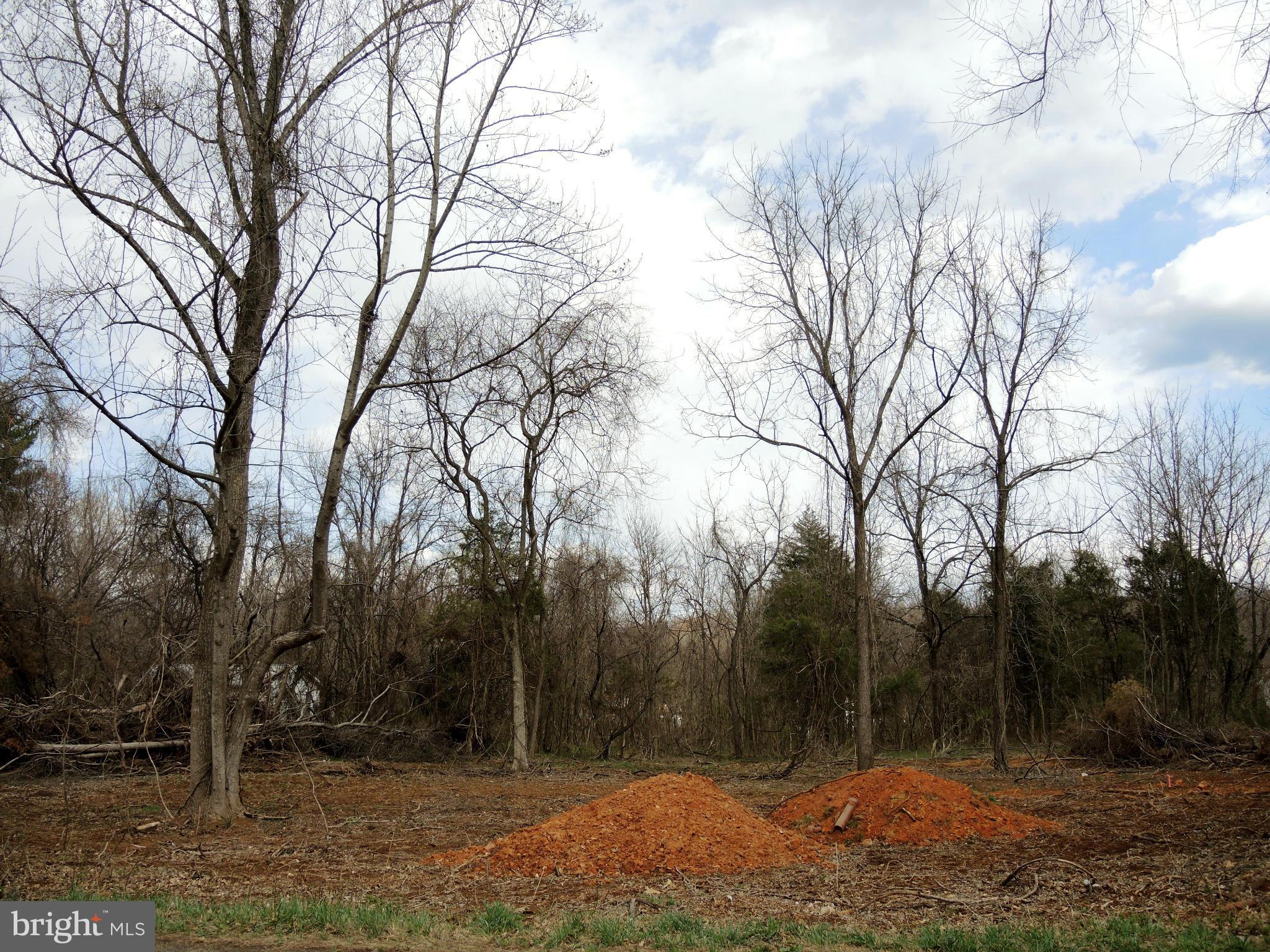 0 Green Road Midland, VA 22728 - Photo 4 of 11 View