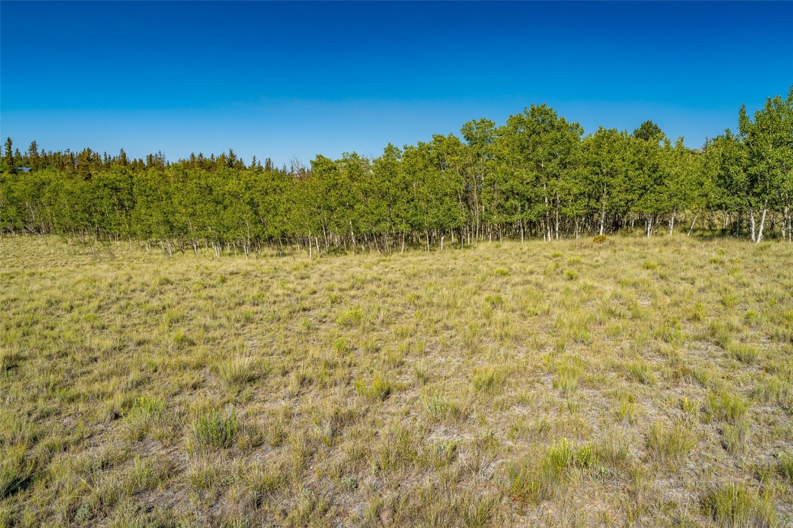 180 North Quarter Horse Road Como, CO 80456 - Photo 11 of 27 a view of a yard with an trees