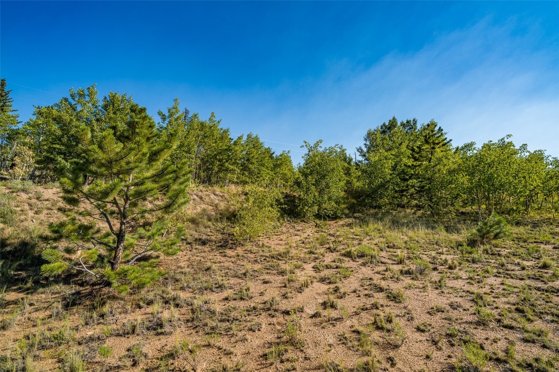 180 North Quarter Horse Road Como, CO 80456 - Photo 13 of 27 a view of a yard with a tree