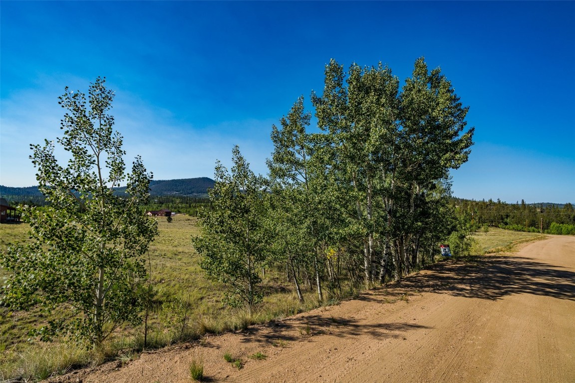 180 North Quarter Horse Road Como, CO 80456 - Photo 14 of 27 a view of a yard with a tree