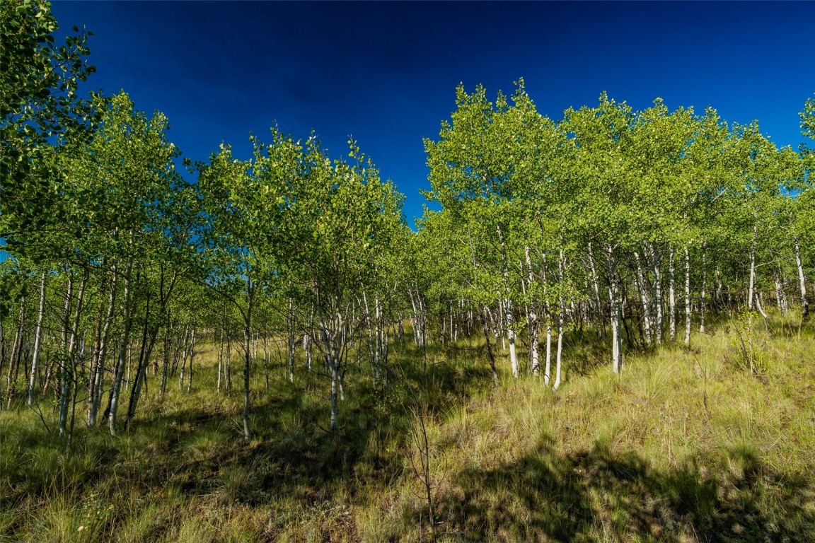 180 North Quarter Horse Road Como, CO 80456 - Photo 15 of 27 a view of a garden
