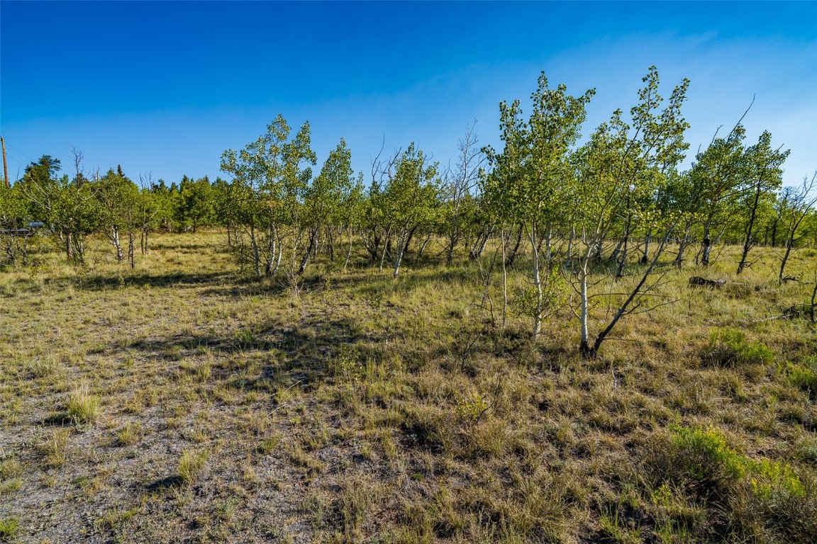 180 North Quarter Horse Road Como, CO 80456 - Photo 17 of 27 a view of a lake with houses