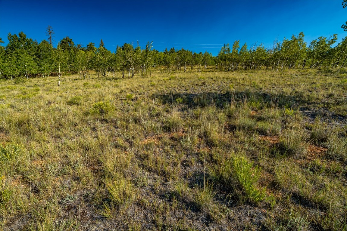 180 North Quarter Horse Road Como, CO 80456 - Photo 18 of 27 a view of a yard