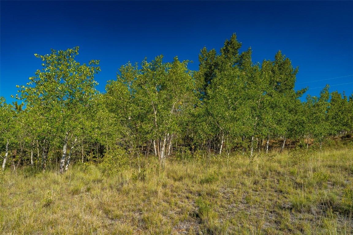 180 North Quarter Horse Road Como, CO 80456 - Photo 20 of 27