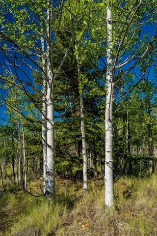 $95,000 | 180 North Quarter Horse Road, Como, CO 80456