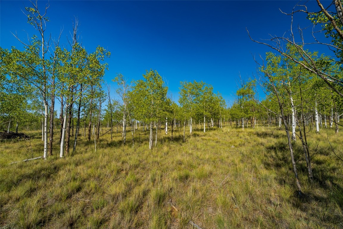 180 North Quarter Horse Road Como, CO 80456 - Photo 26 of 27 a view of a yard with a tree
