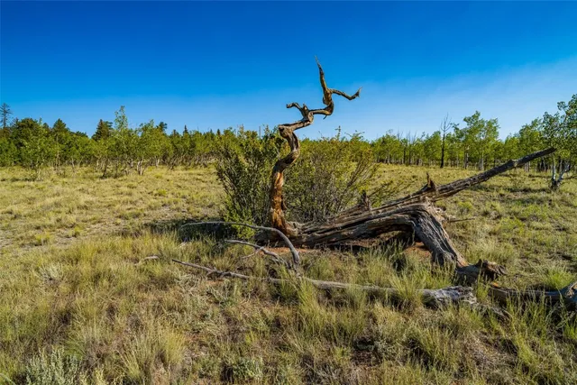 $95,000 | 180 North Quarter Horse Road, Como, CO 80456