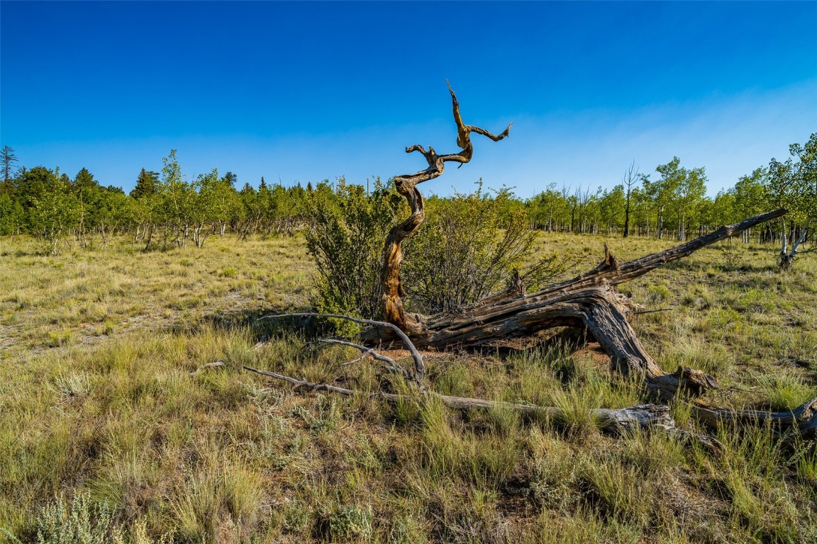 180 North Quarter Horse Road Como, CO 80456 - Photo 27 of 27 a view of a lake