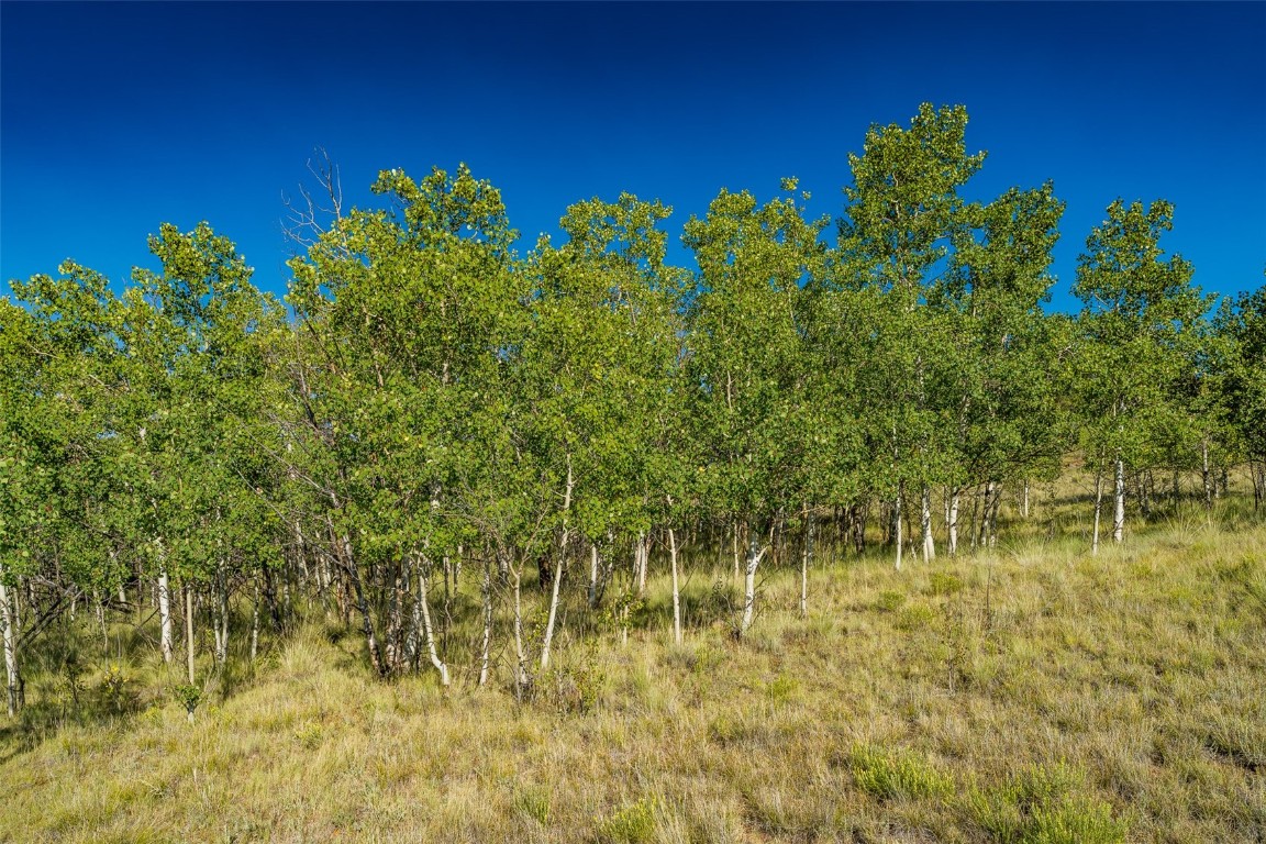 180 North Quarter Horse Road Como, CO 80456 - Photo 4 of 27