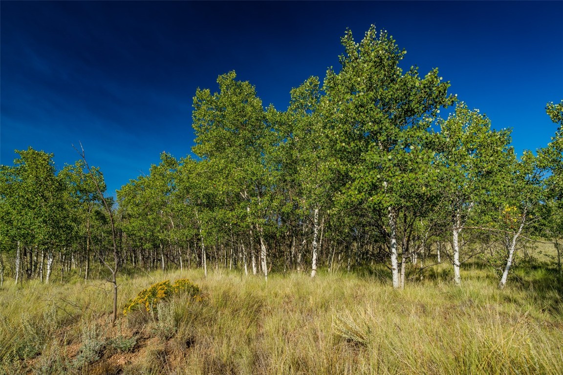 180 North Quarter Horse Road Como, CO 80456 - Photo 6 of 27 a view of a lake with a house in back