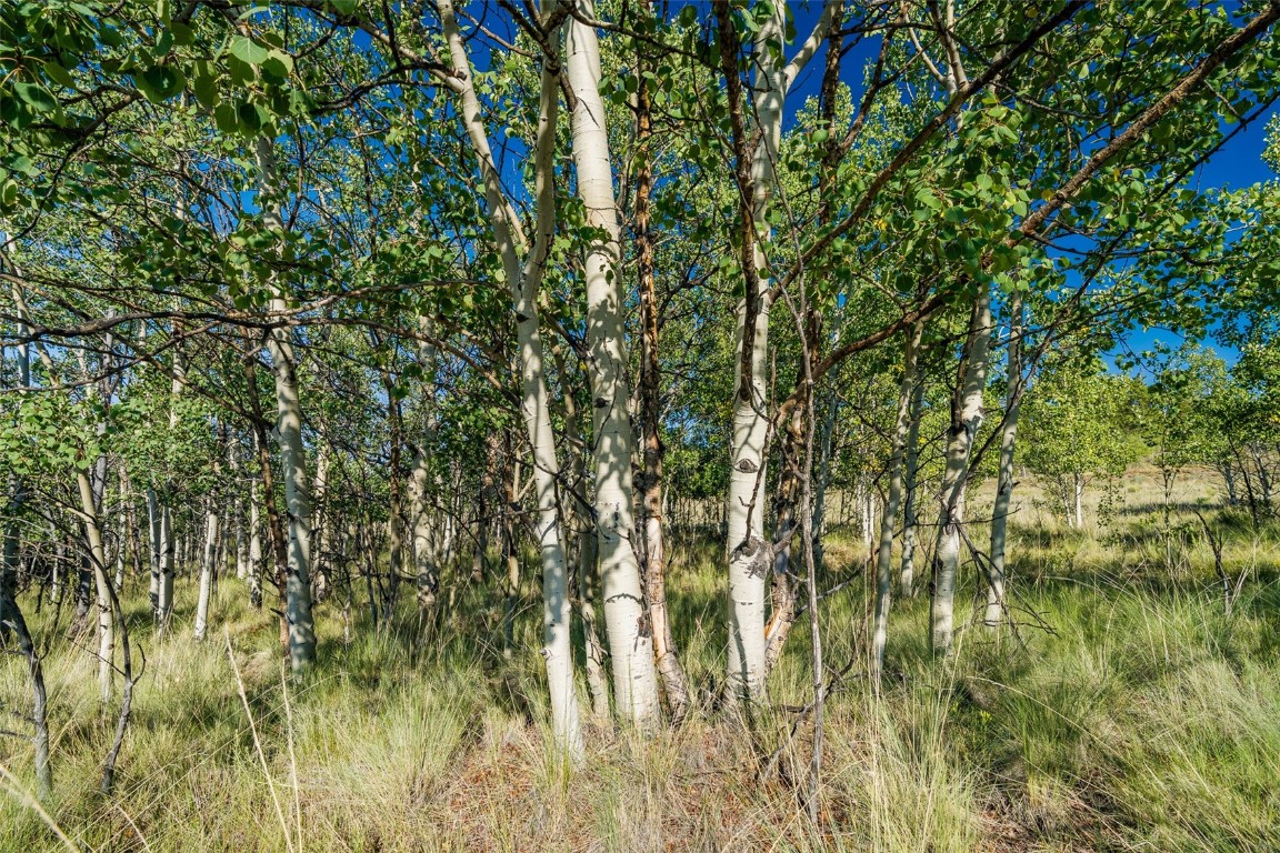 180 North Quarter Horse Road Como, CO 80456 - Photo 7 of 27