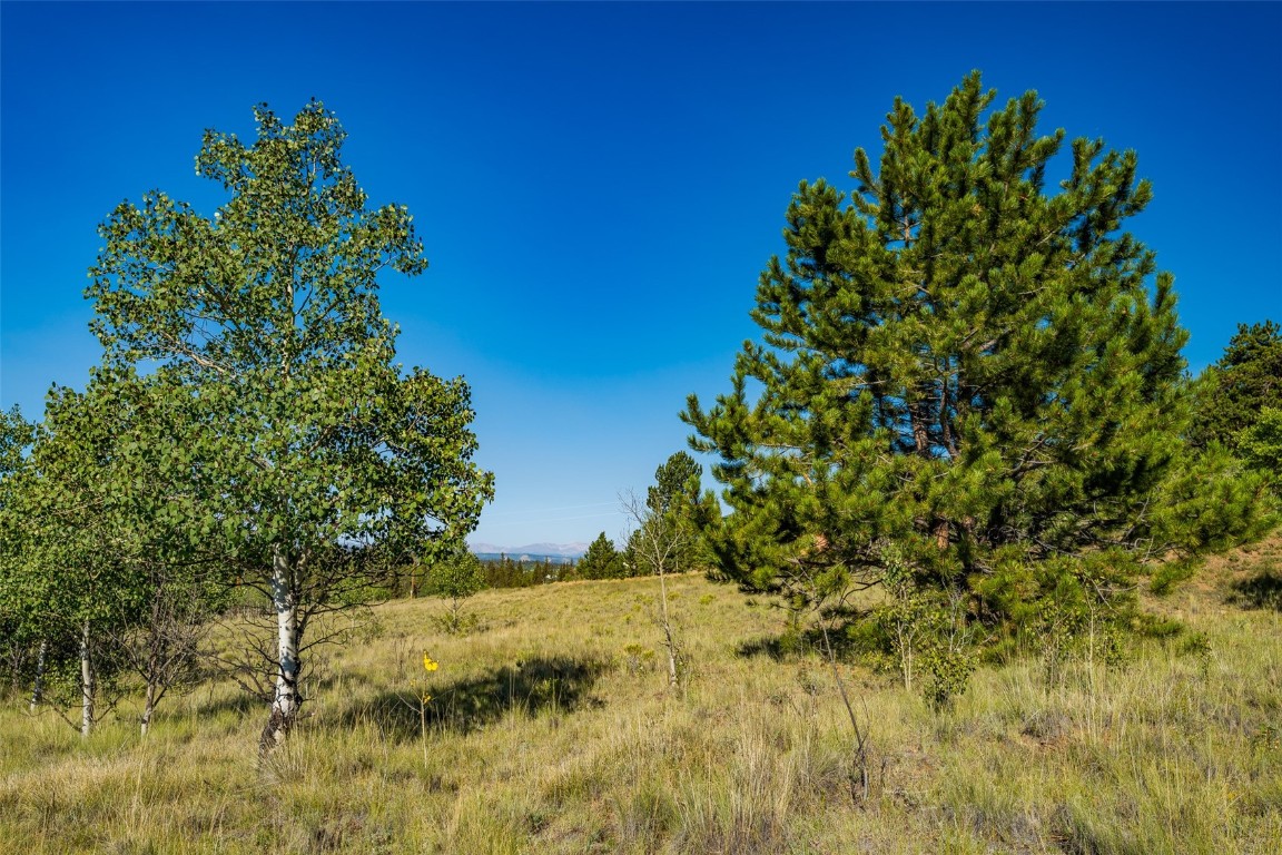 180 North Quarter Horse Road Como, CO 80456 - Photo 8 of 27 a backyard of a house with lots of green space