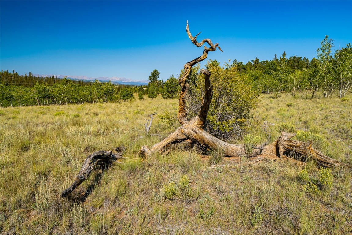 180 North Quarter Horse Road Como, CO 80456 - Photo 9 of 27 a view of a yard