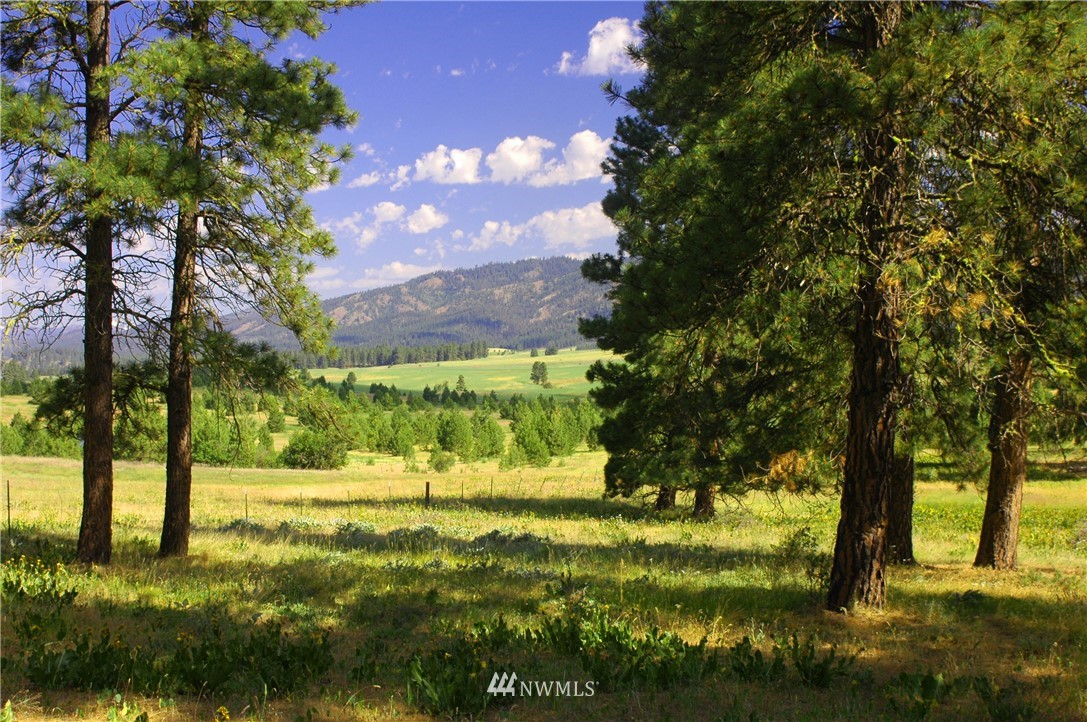 4 A Hidden Valley Road Cle Elum, WA 98922 - Photo 2 of 10 Gallery Image 2
