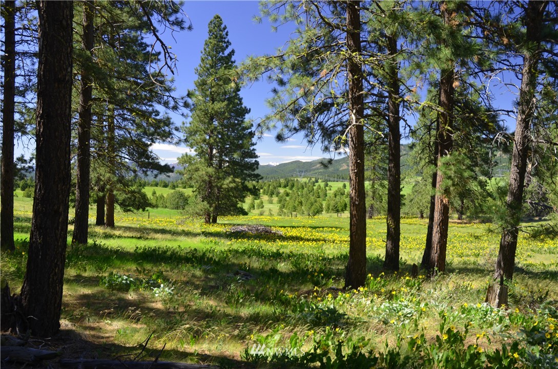 4 A Hidden Valley Road Cle Elum, WA 98922 - Photo 3 of 10 Gallery Image 3
