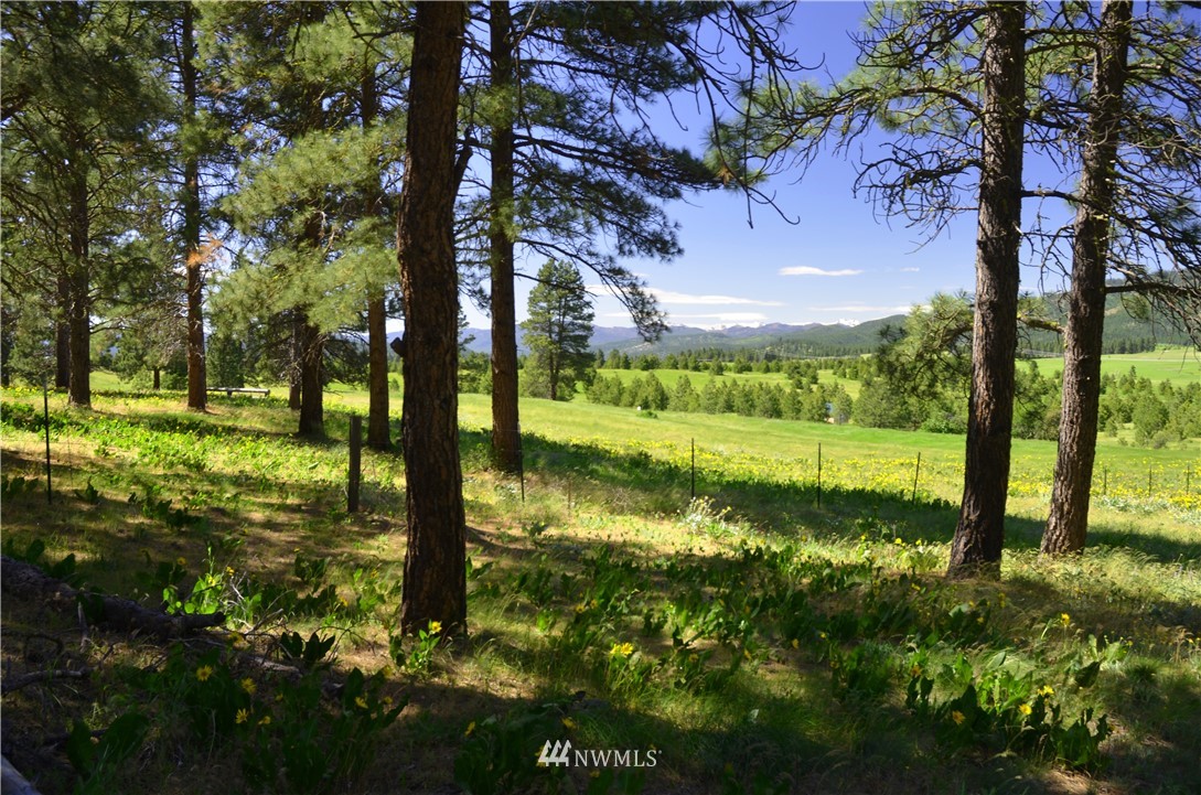 4 A Hidden Valley Road Cle Elum, WA 98922 - Photo 4 of 10 Gallery Image 4