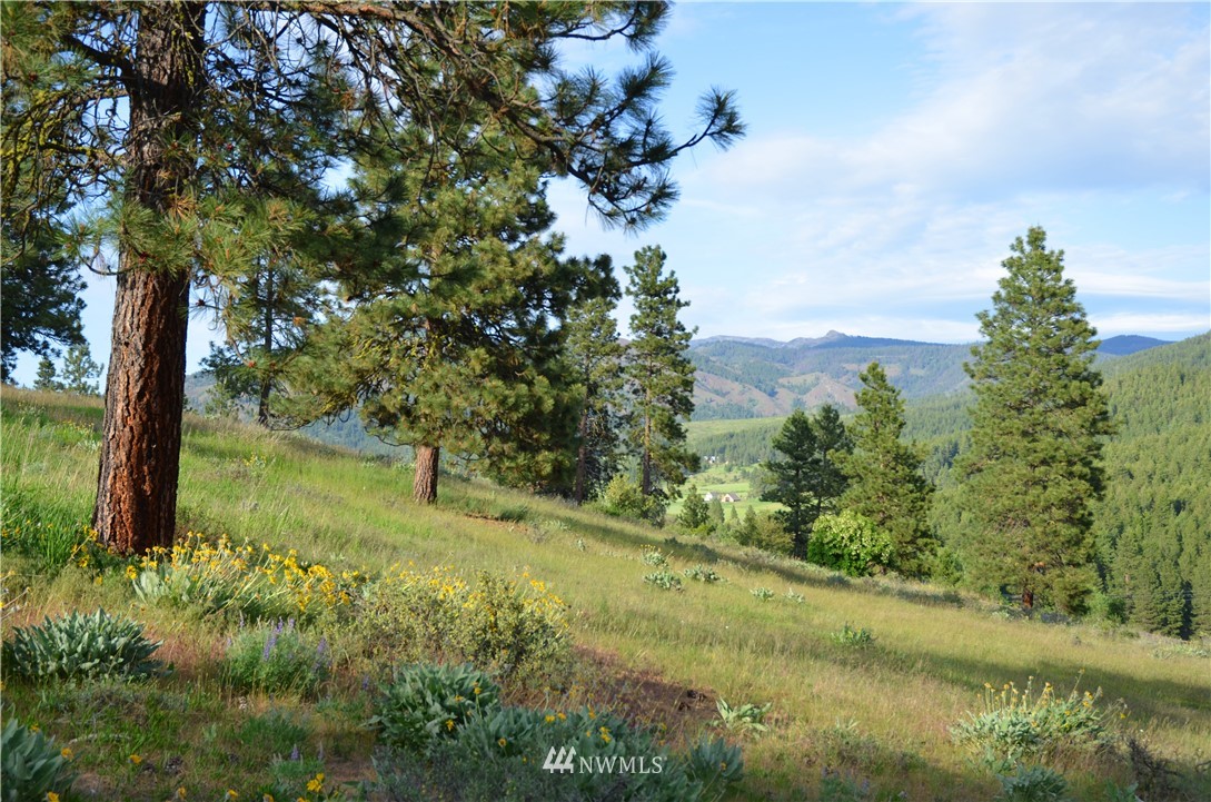 4 A Hidden Valley Road Cle Elum, WA 98922 - Photo 6 of 10 Gallery Image 6