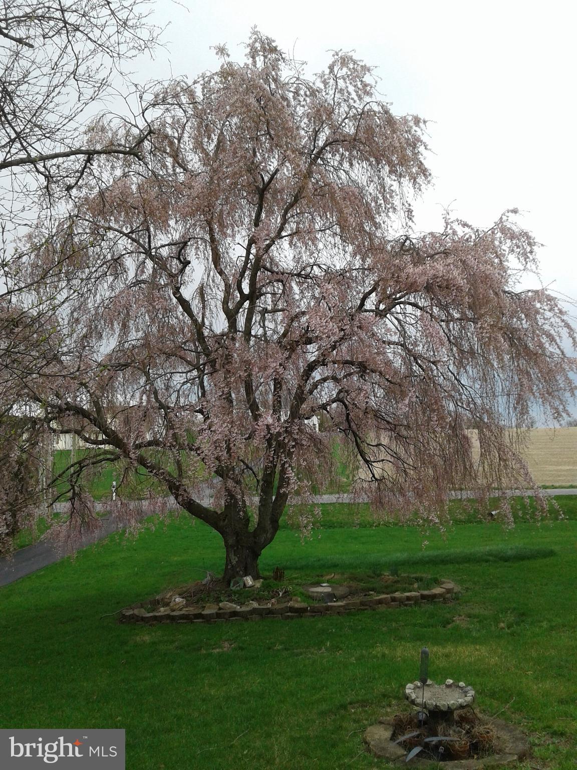4668 Winding Road New Tripoli, PA 18066 - Photo 34 of 39 Springtime