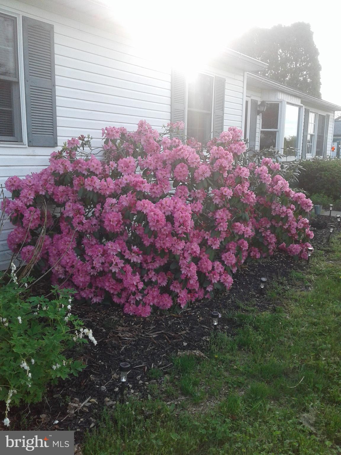 4668 Winding Road New Tripoli, PA 18066 - Photo 36 of 39 Beauty in Spring