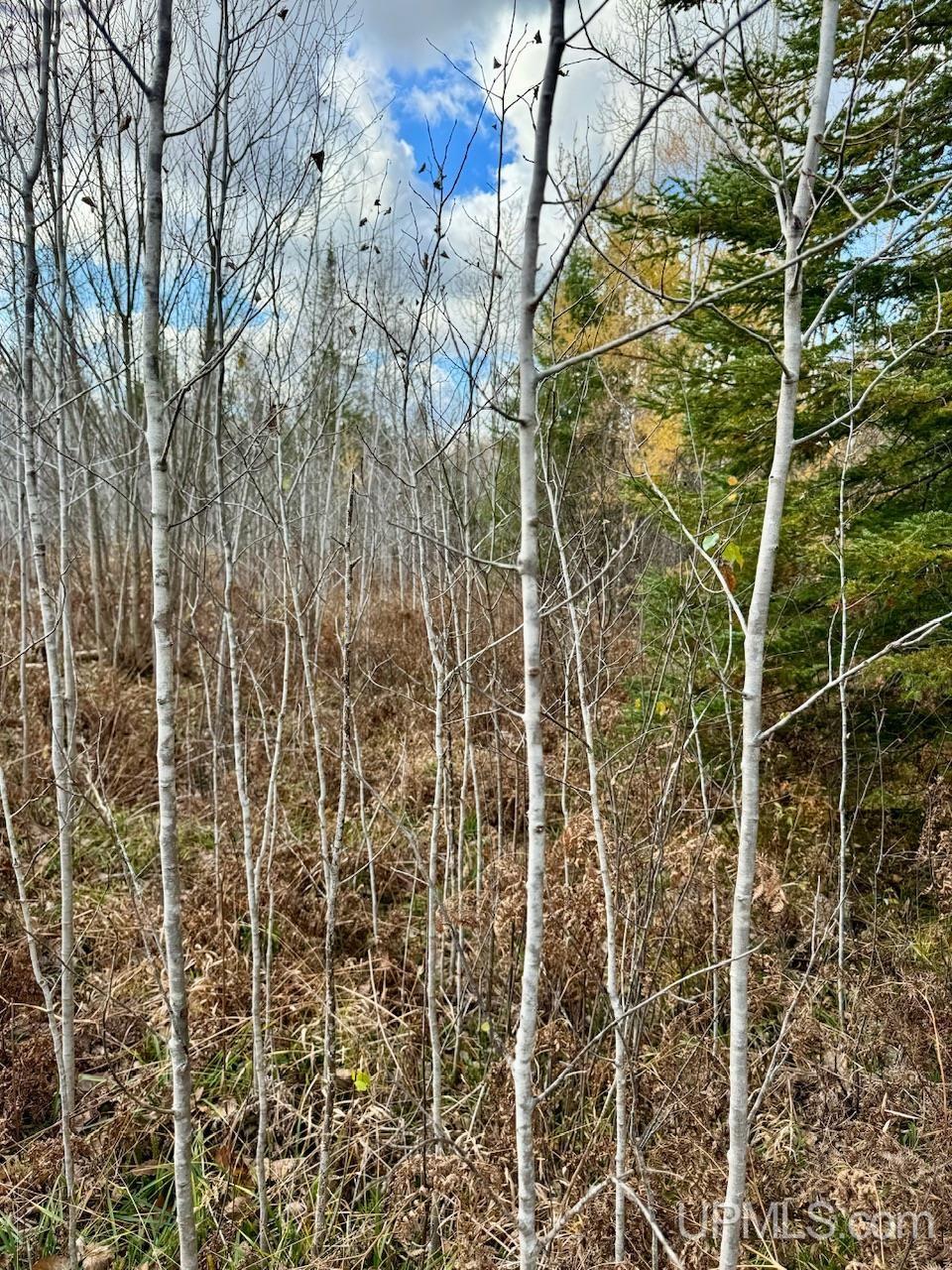 27.5 Rd 52 Ac Trail Gladstone, MI 49837 - Photo 12 of 20