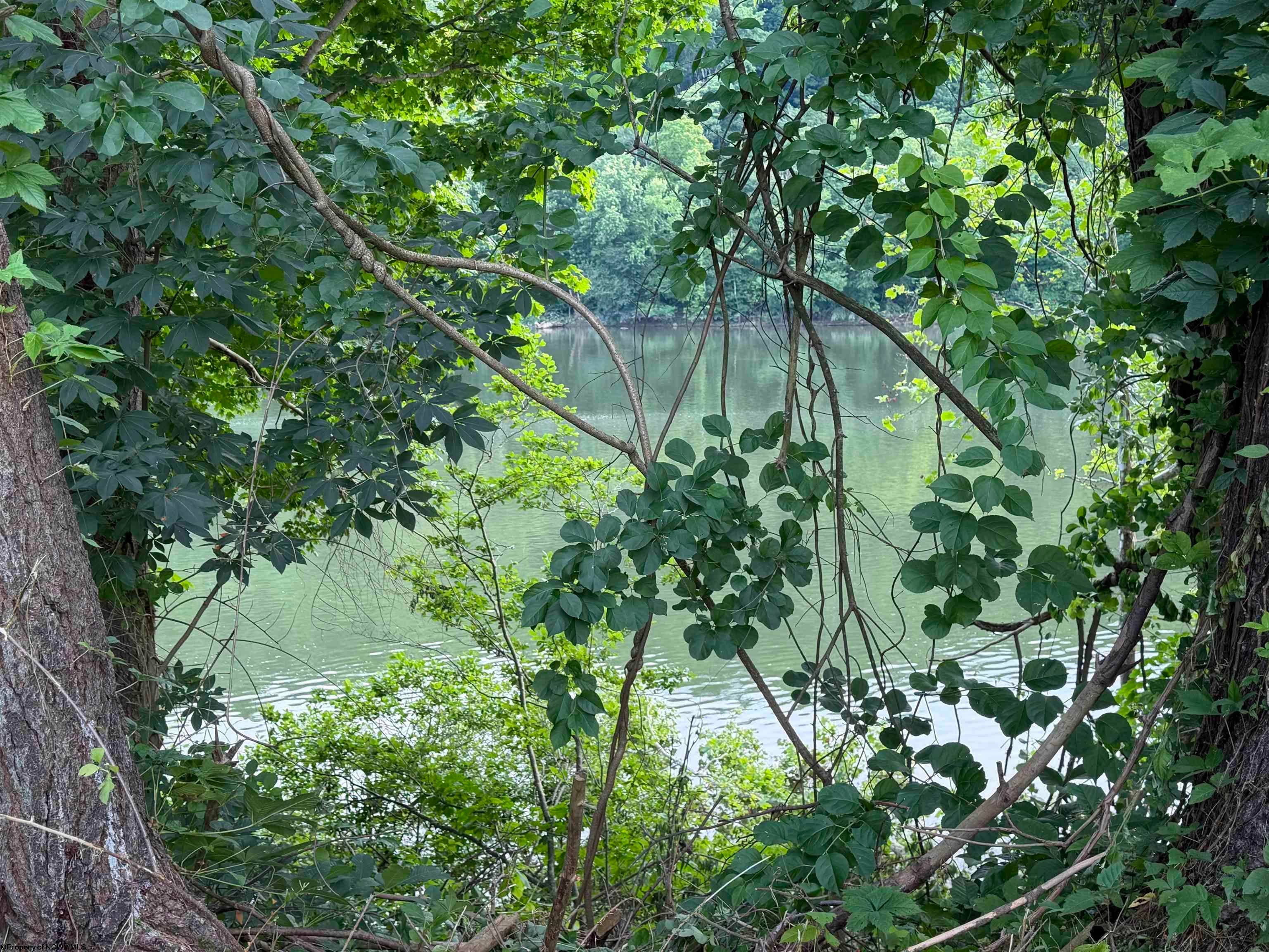 813 New Geneva Road Point Marion, PA 15474 - Photo 27 of 36 Gallery Image 27