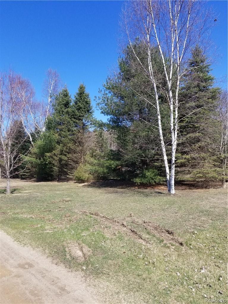 4597 Martus Road North Branch, MI 48461 - Photo 4 of 18 20190415_143410.jpg