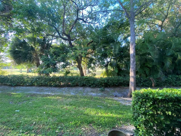 a view of a backyard with large trees