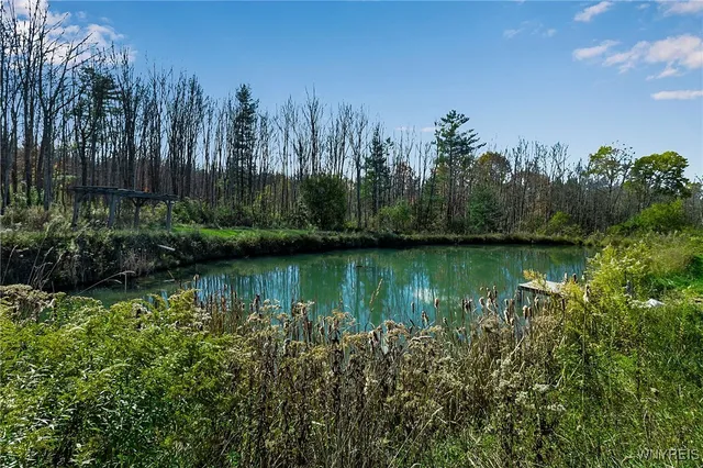 $425,000 | 9069 West Hill Road, Allen, NY 14735