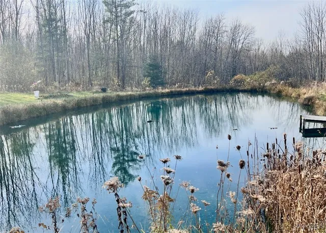 $425,000 | 9069 West Hill Road, Allen, NY 14735