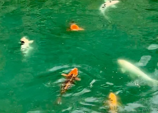 $425,000 | 9069 West Hill Road, Allen, NY 14735