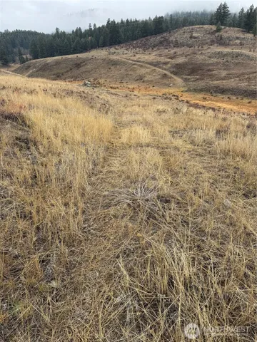 a view of lake and mountain