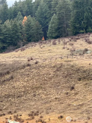 $29,000 | 0 Lot 39 Mountain View, Oroville, WA 98844