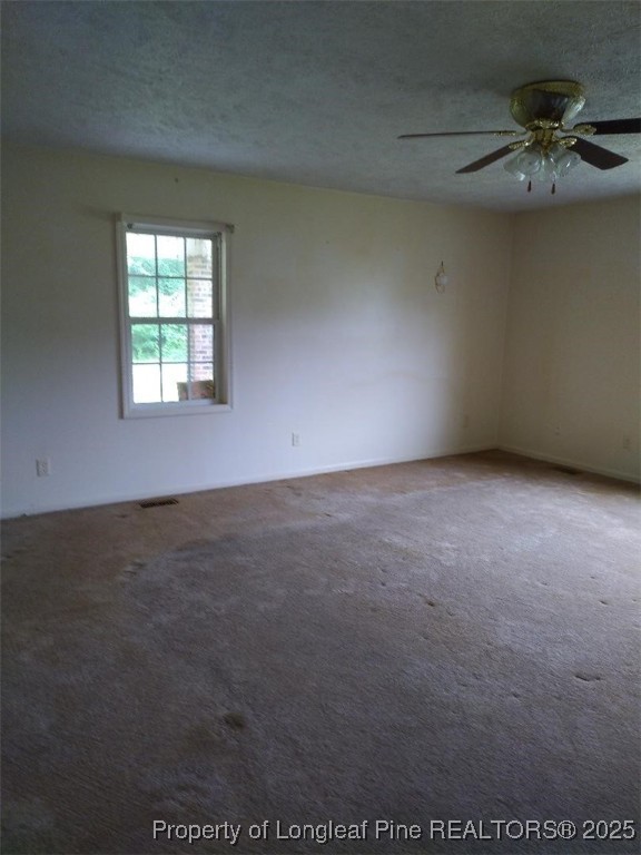 88 Holcomb Road Rowland, NC 28383 - Photo 19 of 25 Gallery Image 19