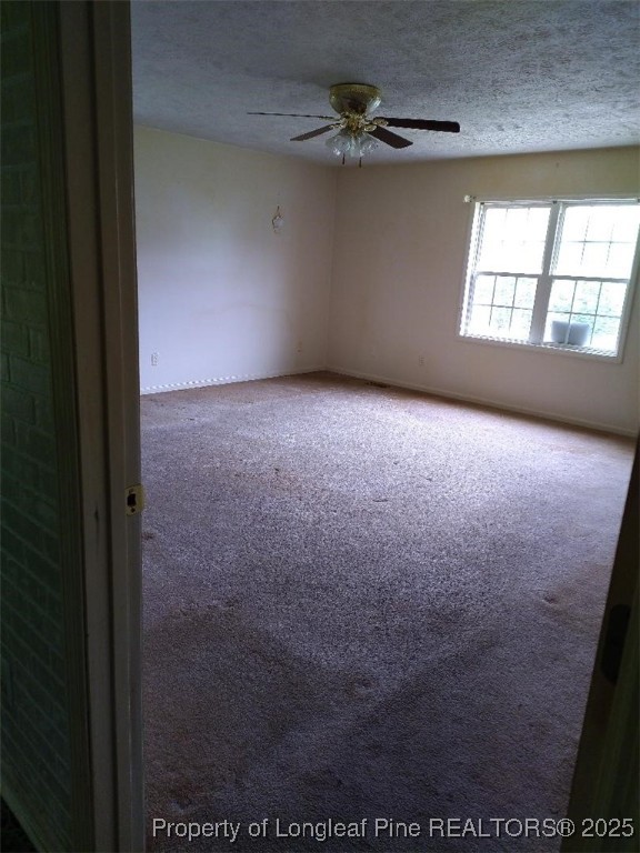 88 Holcomb Road Rowland, NC 28383 - Photo 23 of 25 Gallery Image 23