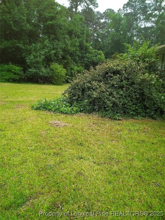 88 Holcomb Road Rowland, NC 28383 - Photo 3 of 25 Gallery Image 3