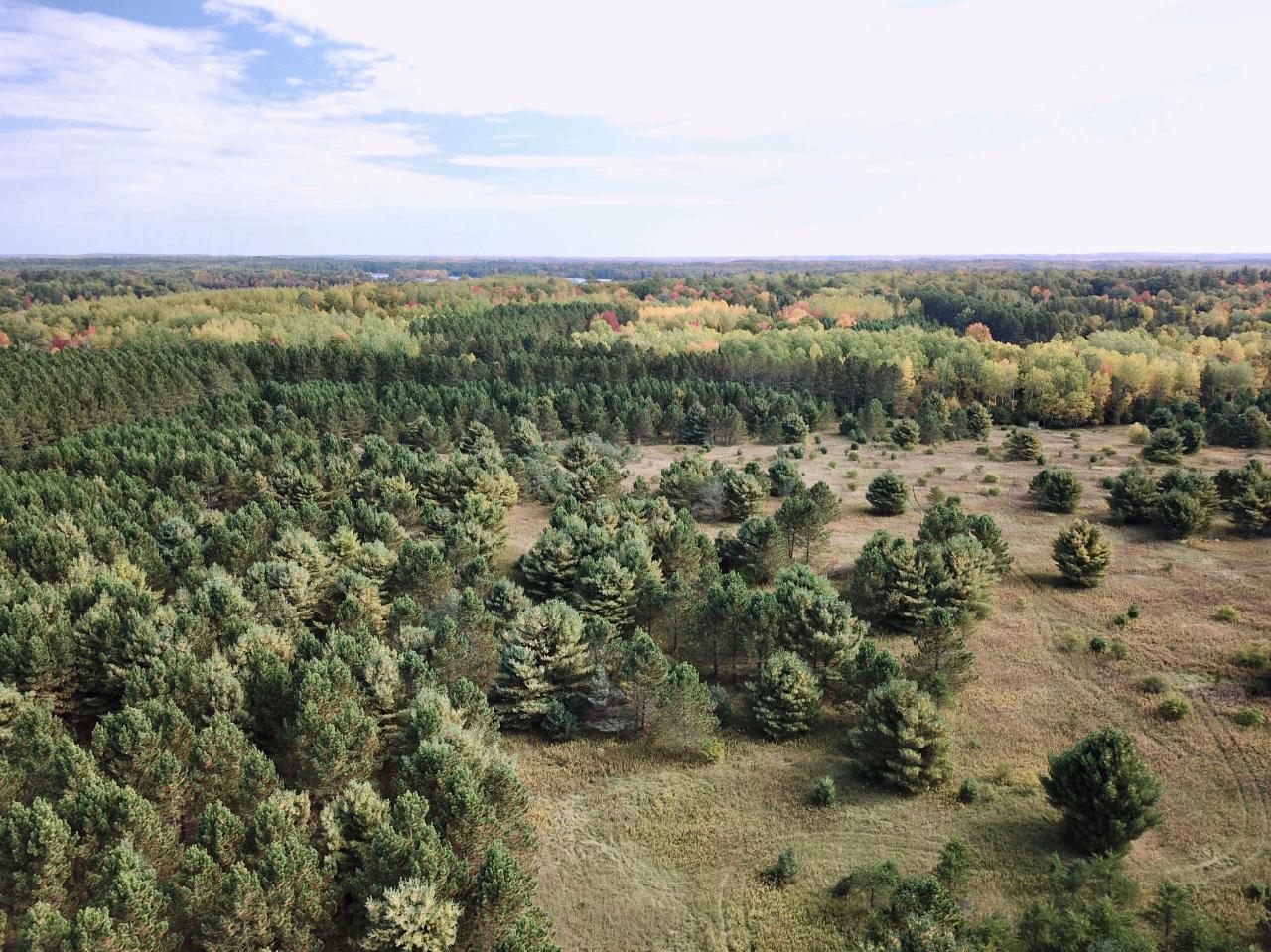 159-ac Piehl Road Tomahawk, WI 54487 - Photo 16 of 55 Gallery Image 16