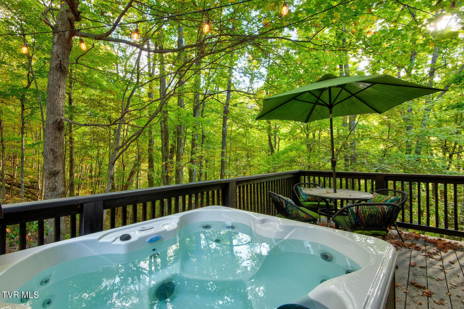 1444 Rich Mountain Road Zionville, NC 28698 - Photo 54 of 56 Image 03