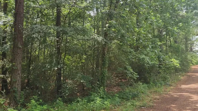 $37,000 | Lot 7 Cherry Tree Lane, Plantersville, TX 77363