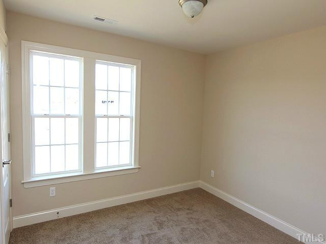 465 Chisenhall Road Angier, NC 27501 - Photo 10 of 12 Other
