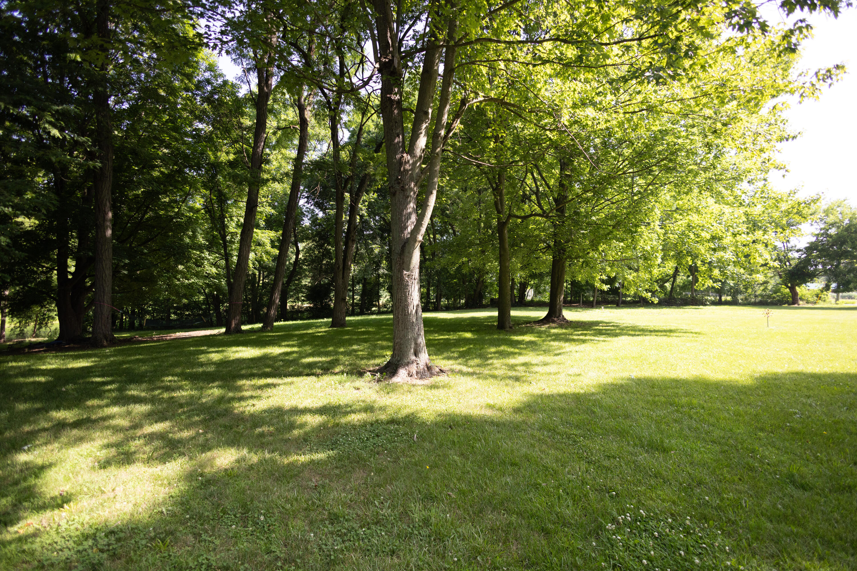 51310 Shorts Road Leonidas, MI 49066 - Photo 18 of 18 GE8A3231