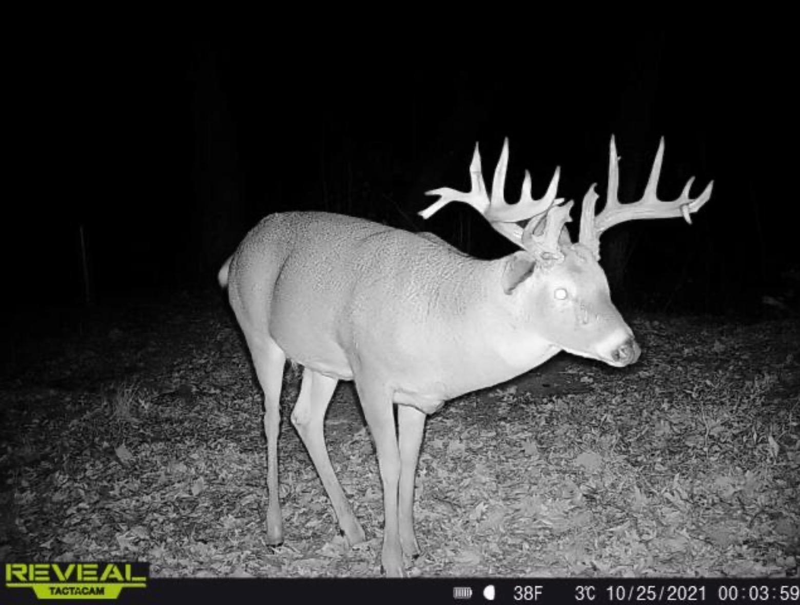 50540 Snow Lake Road Vining, MN 56588 - Photo 83 of 89 Gallery Image 83