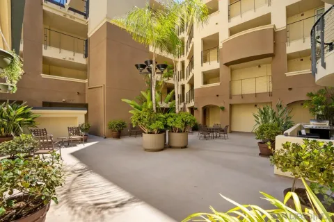 a view of a yard with palm tree
