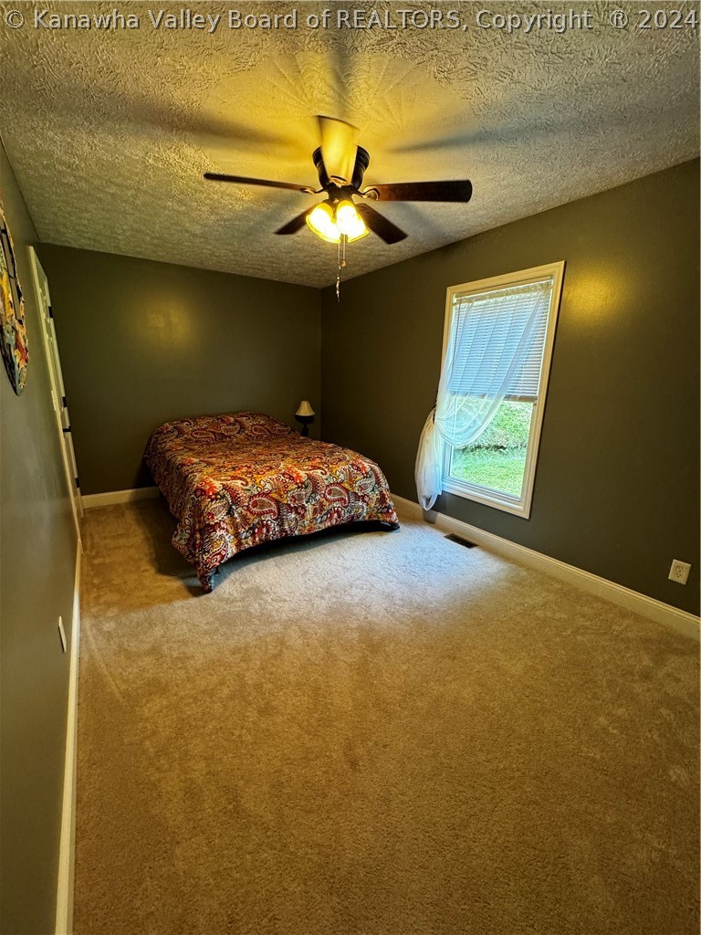 347 Frances Creek Road Harts, WV 25524 - Photo 29 of 41 Gallery Image 29