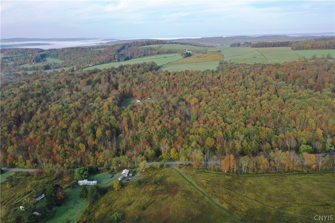 4543 Potter Road McGraw, NY 13101 - Photo 44 of 45