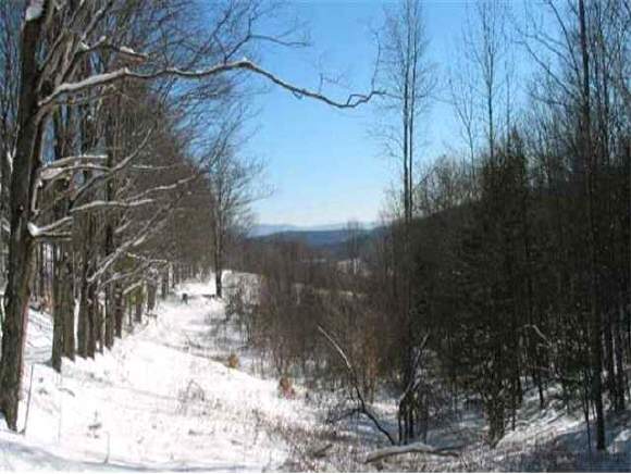 0 Jenne Road Hartland, VT 05048 - Photo 1 of 1