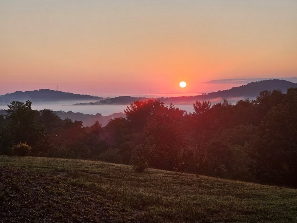 View from the porch