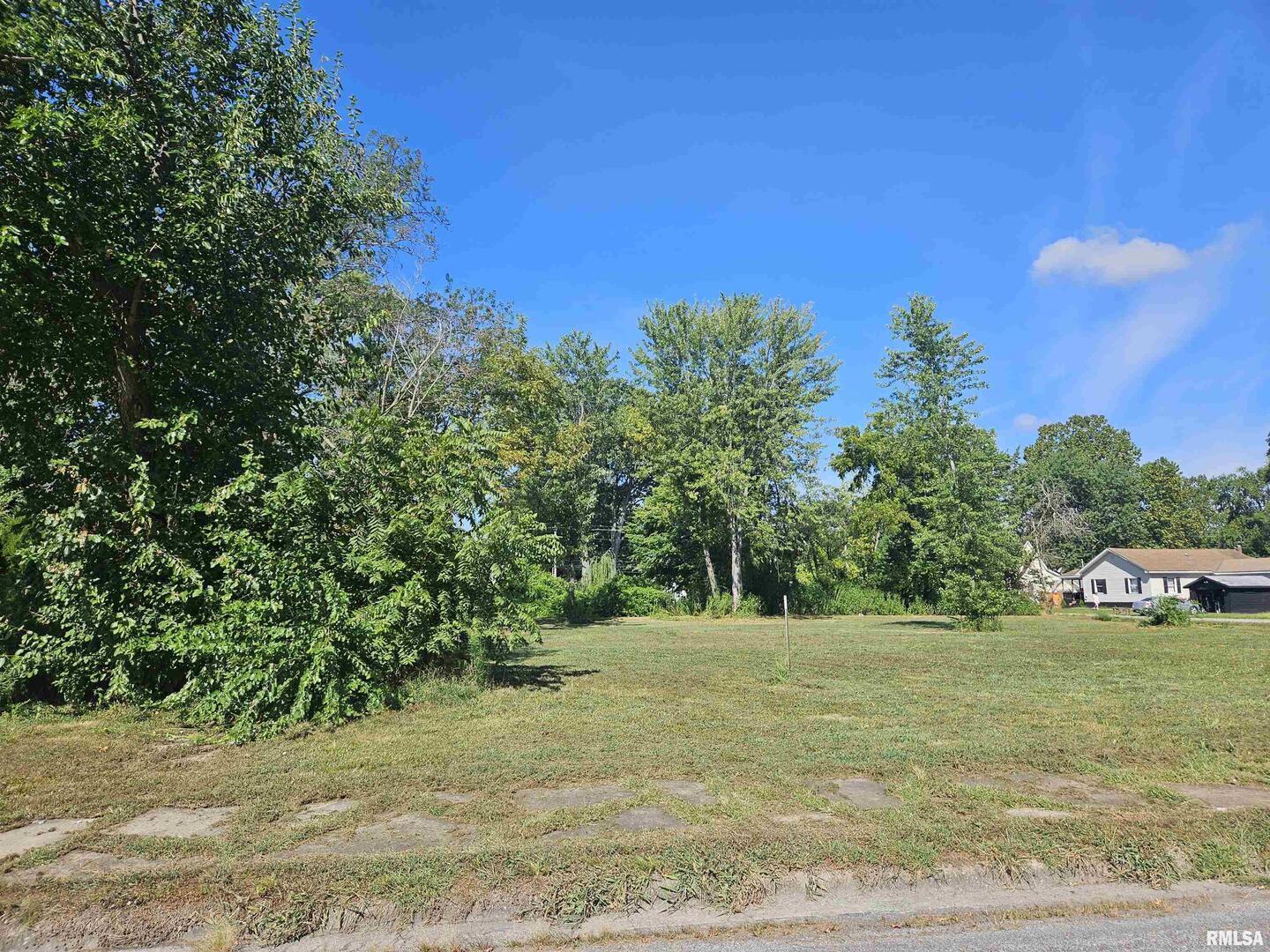 0 North Buchanan Street Benton, IL 62812 - Photo 13 of 23