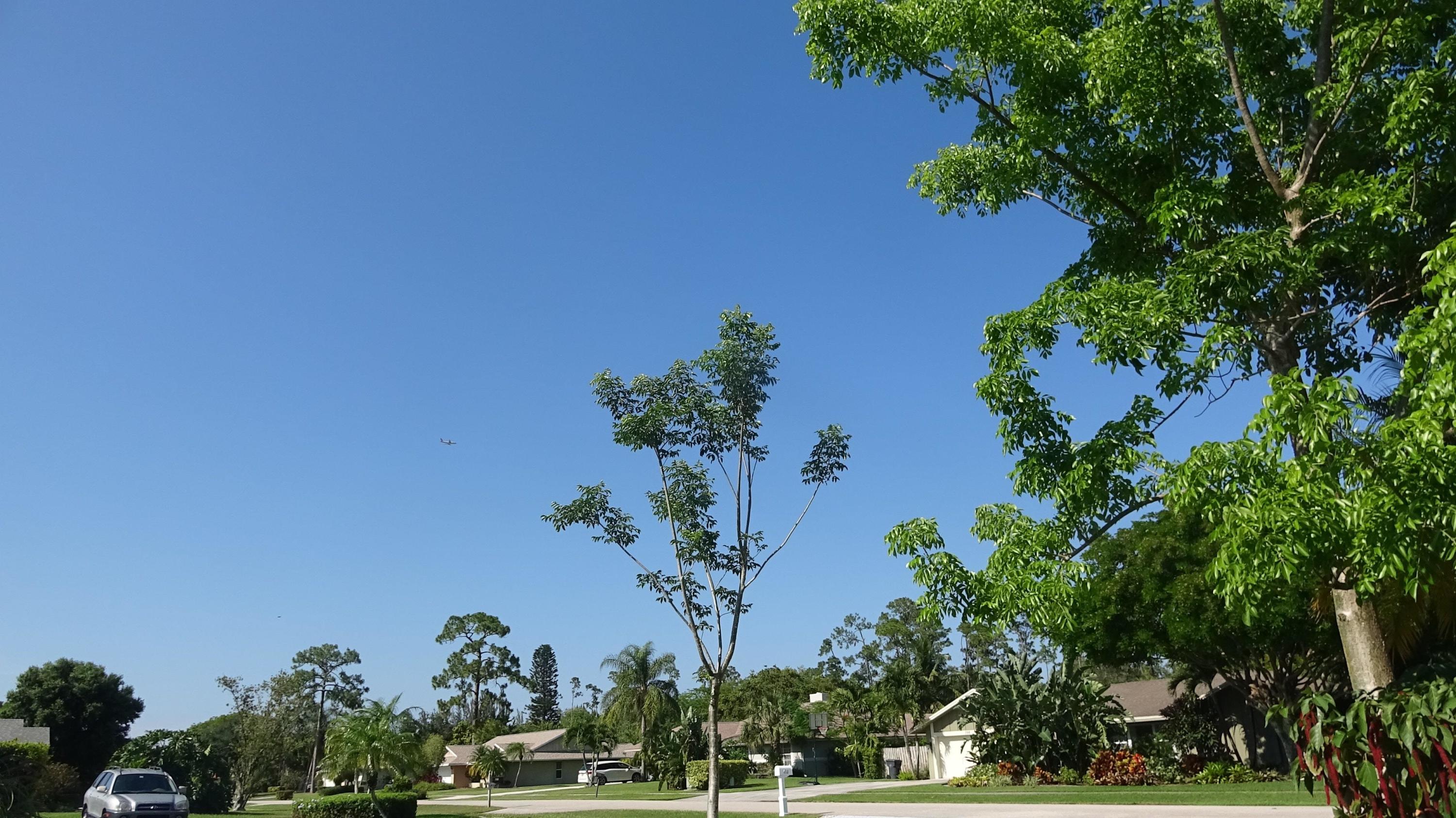 413 Old Country Road South Wellington, FL 33414 - Photo 33 of 110 DSC00034-min