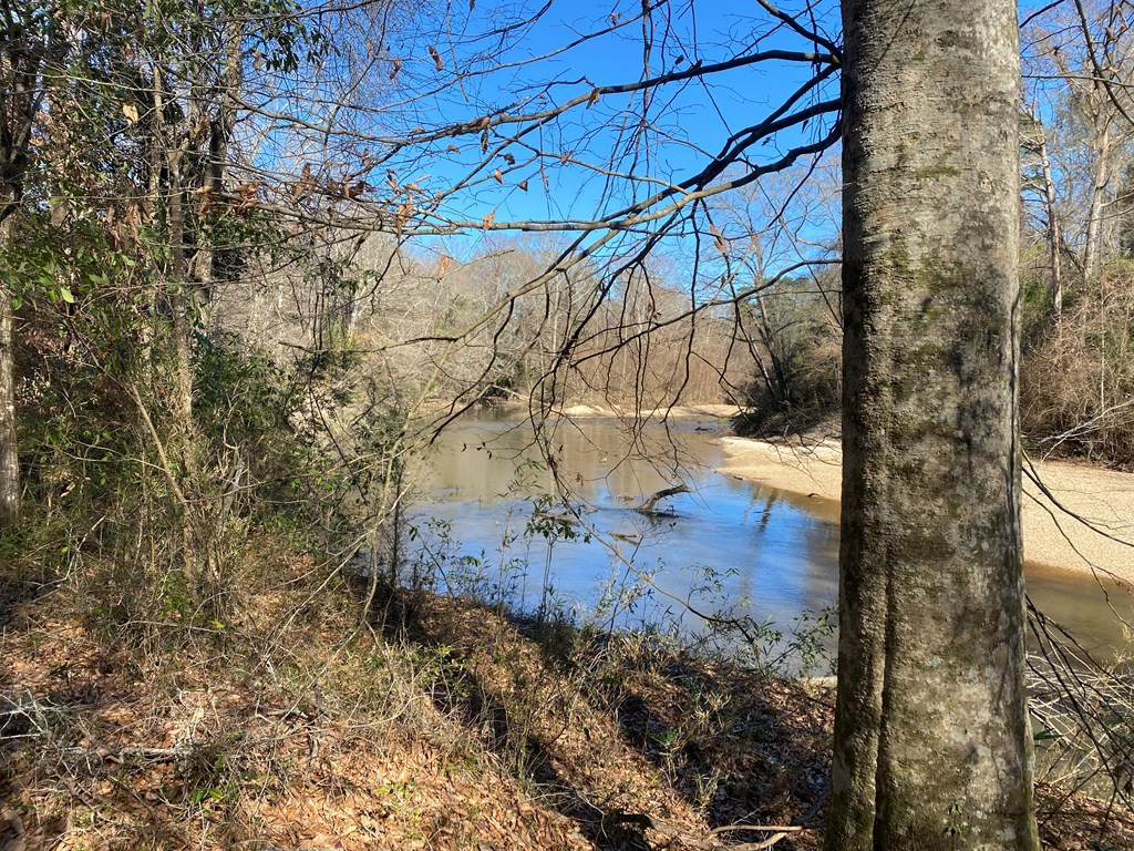 0 Brandi Road Summit, MS 39666 - Photo 4 of 17 Photo 4